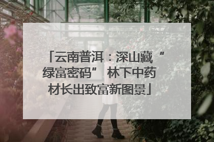 云南普洱：深山藏“绿富密码” 林下中药材长出致富新图景