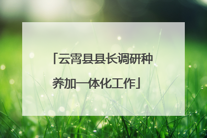 云霄县县长调研种养加一体化工作