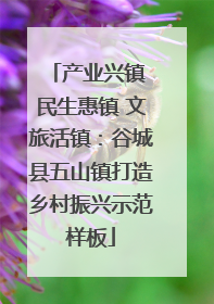 产业兴镇 民生惠镇 文旅活镇：谷城县五山镇打造乡村振兴示范样板