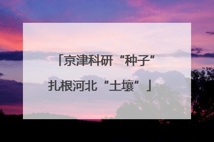 京津科研“种子”扎根河北“土壤”