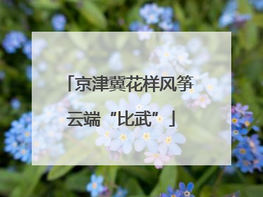 京津冀花样风筝云端“比武”