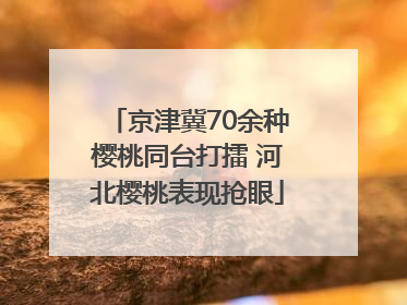 京津冀70余种樱桃同台打擂 河北樱桃表现抢眼