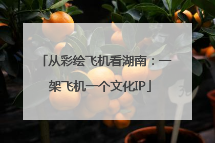 从彩绘飞机看湖南：一架飞机一个文化IP