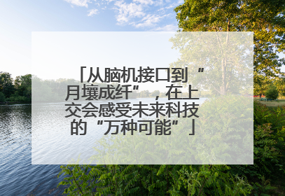 从脑机接口到“月壤成纤”，在上交会感受未来科技的“万种可能”