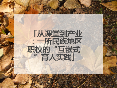 从课堂到产业：一所民族地区职校的“互嵌式”育人实践