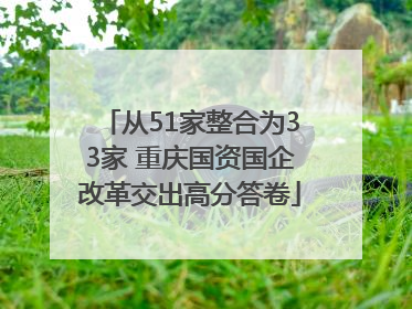 从51家整合为33家 重庆国资国企改革交出高分答卷