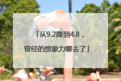 从9.2降到4.8，曾经的想象力哪去了