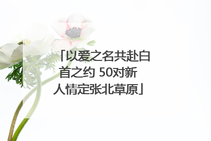 以爱之名共赴白首之约 50对新人情定张北草原