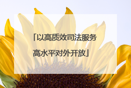 以高质效司法服务高水平对外开放