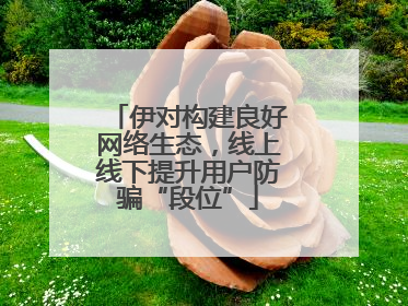 伊对构建良好网络生态，线上线下提升用户防骗“段位”