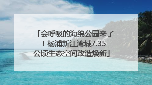 会呼吸的海绵公园来了！杨浦新江湾城7.35公顷生态空间改造焕新