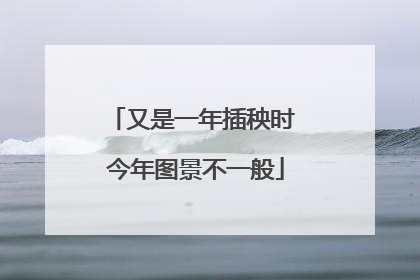 又是一年插秧时 今年图景不一般