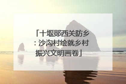 十堰郧西关防乡：沙沟村绘就乡村振兴文明画卷