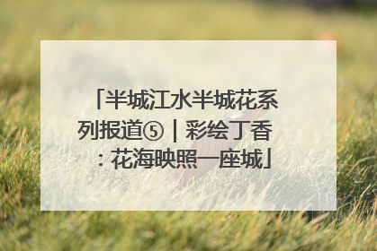 半城江水半城花系列报道⑤｜彩绘丁香：花海映照一座城