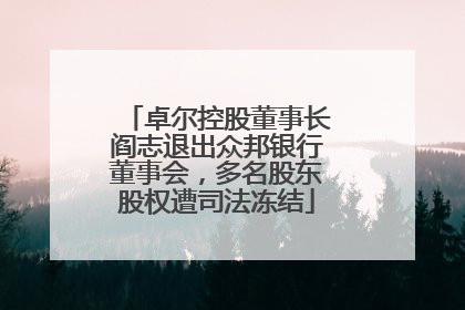 卓尔控股董事长阎志退出众邦银行董事会，多名股东股权遭司法冻结