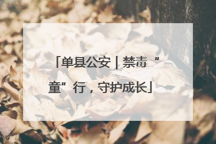 单县公安｜禁毒“童”行，守护成长