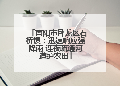 南阳市卧龙区石桥镇：迅速响应强降雨 连夜疏通河道护农田