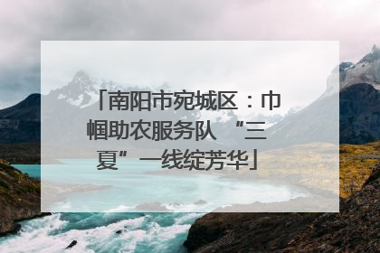 南阳市宛城区：巾帼助农服务队 “三夏”一线绽芳华