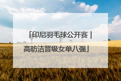 印尼羽毛球公开赛｜高昉洁晋级女单八强