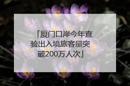 厦门口岸今年查验出入境旅客量突破200万人次