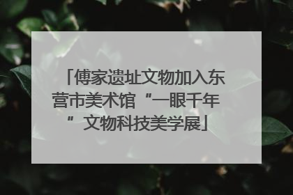 傅家遗址文物加入东营市美术馆“一眼千年”文物科技美学展