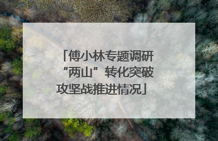 傅小林专题调研“两山”转化突破攻坚战推进情况