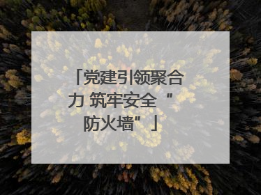 党建引领聚合力 筑牢安全“防火墙”