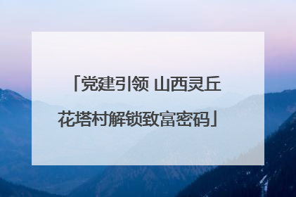 党建引领 山西灵丘花塔村解锁致富密码