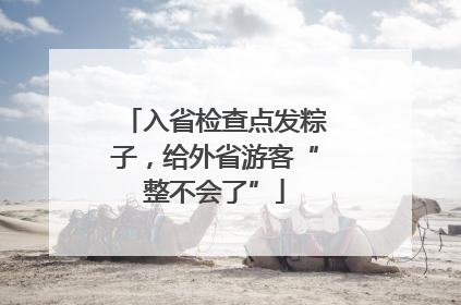 入省检查点发粽子，给外省游客“整不会了”