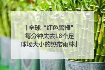 全球“红色警报”  每分钟失去18个足球场大小的热带雨林