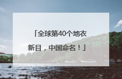 全球第40个地衣新目，中国命名！