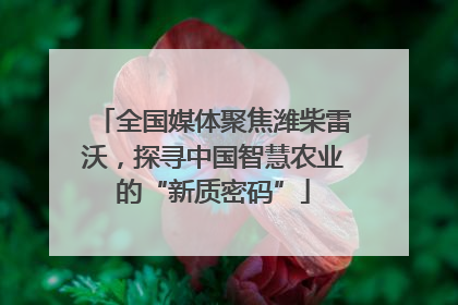 全国媒体聚焦潍柴雷沃，探寻中国智慧农业的“新质密码”