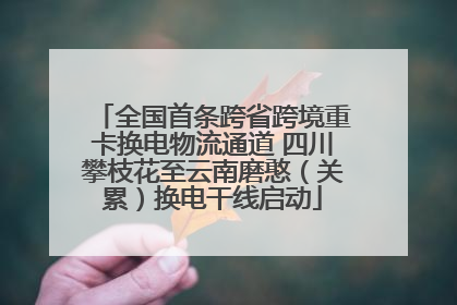 全国首条跨省跨境重卡换电物流通道 四川攀枝花至云南磨憨（关累）换电干线启动