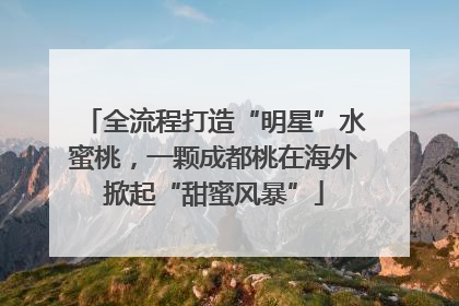 全流程打造“明星”水蜜桃，一颗成都桃在海外掀起“甜蜜风暴”