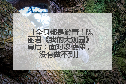 全身都是淤青！陈丽君《我的大观园》幕后：面对滚楼梯，没有做不到