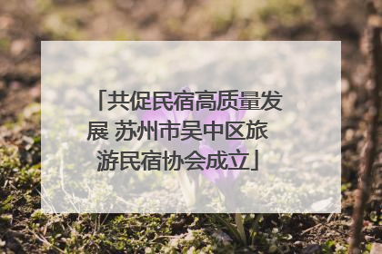 共促民宿高质量发展 苏州市吴中区旅游民宿协会成立