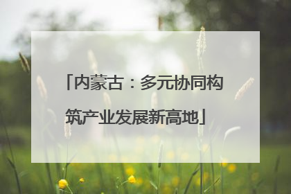 内蒙古：多元协同构筑产业发展新高地