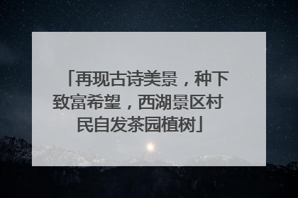 再现古诗美景，种下致富希望，西湖景区村民自发茶园植树