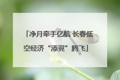 净月牵手亿航 长春低空经济“添翼”腾飞