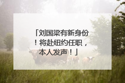刘国梁有新身份！将赴纽约任职，本人发声！