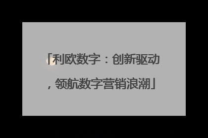 利欧数字：创新驱动，领航数字营销浪潮