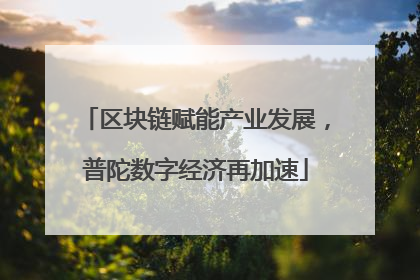 区块链赋能产业发展，普陀数字经济再加速