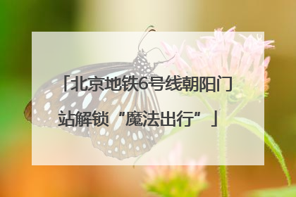 北京地铁6号线朝阳门站解锁“魔法出行”