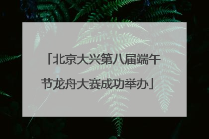 北京大兴第八届端午节龙舟大赛成功举办