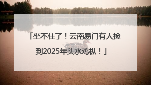 坐不住了！云南易门有人捡到2025年头水鸡枞！