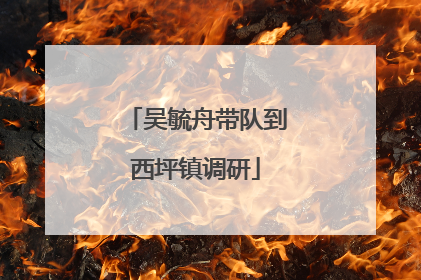 吴毓舟带队到西坪镇调研