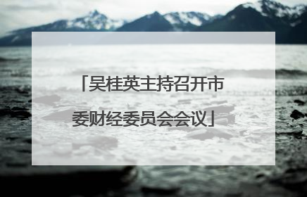 吴桂英主持召开市委财经委员会会议