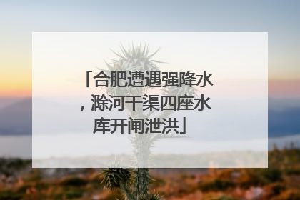 合肥遭遇强降水，滁河干渠四座水库开闸泄洪