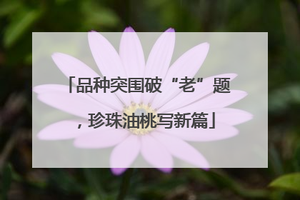 品种突围破“老”题，珍珠油桃写新篇