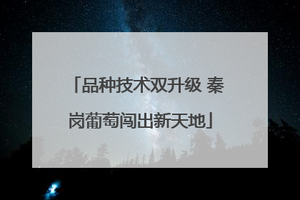 品种技术双升级 秦岗葡萄闯出新天地